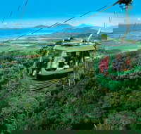 Kuranda Rainforest station Scenic railway and Skyrail tour - Northern Rivers Accommodation