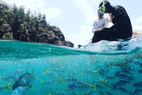 2 Night Small Group Whitsundays Sailing Adventure Aboard Mandrake - Northern Rivers Accommodation 5