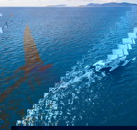 2-Night Whitsunday Islands Sailing Adventure on Trimaran Avatar - Northern Rivers Accommodation