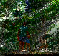 Full Day Daintree Rainforest and Mossman Gorge Tour - Northern Rivers Accommodation