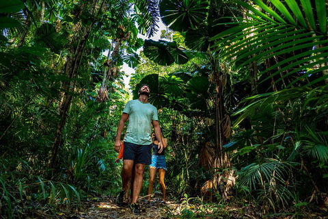 Full Day Daintree Rainforest And Mossman Gorge Tour - Northern Rivers Accommodation 0