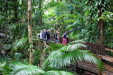 Full Day Daintree Rainforest And Mossman Gorge Tour - Northern Rivers Accommodation 1