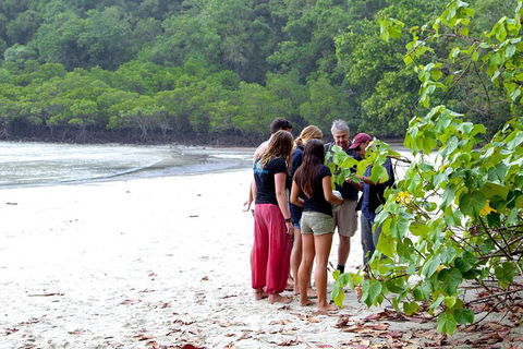 Full Day Daintree Rainforest And Mossman Gorge Tour - Northern Rivers Accommodation 2