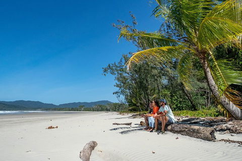 Full Day Daintree Rainforest And Mossman Gorge Tour - Northern Rivers Accommodation 4