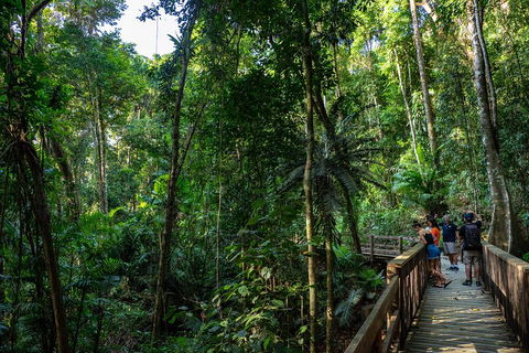 Full Day Daintree Rainforest And Mossman Gorge Tour - Northern Rivers Accommodation 5