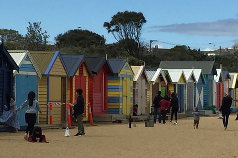 Private Half Day Melbourne City Tour With Local Guide - Northern Rivers Accommodation 2
