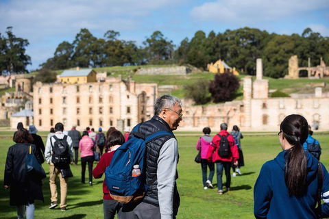 Port Arthur Express Shuttle - Northern Rivers Accommodation 4