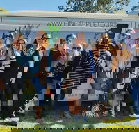 Full Day Mount Tamborine Winery Tour from Gold Coast - Northern Rivers Accommodation