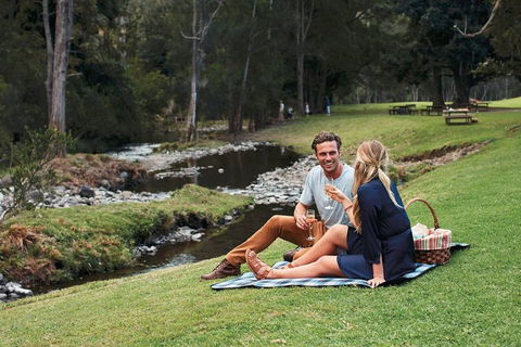 Mt Tamborine - Hinterland Wonders Self Guided - Northern Rivers Accommodation 0