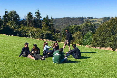 Mt Tamborine - Hinterland Wonders Self Guided - Northern Rivers Accommodation 1