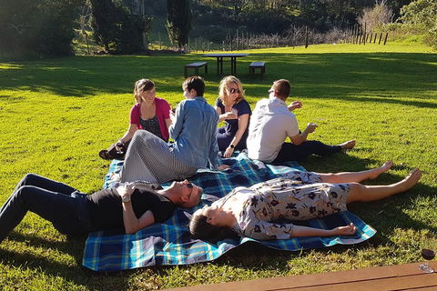Mt Tamborine - Hinterland Wonders Self Guided - Northern Rivers Accommodation 2