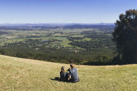 Mt Tamborine - Hinterland Wonders Self Guided - Northern Rivers Accommodation 4