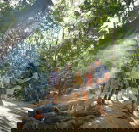 Mossman Gorge Adventure Day - Northern Rivers Accommodation