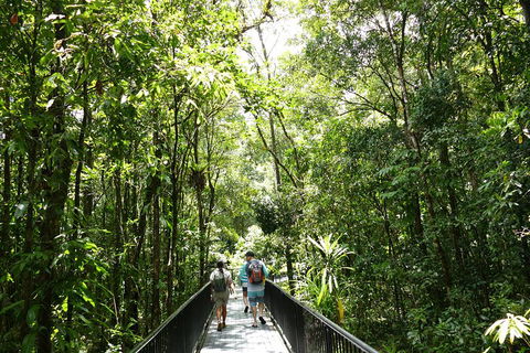 Daintree Dreaming Traditional Aboriginal Fishing From Cairns Or Port Douglas - Northern Rivers Accommodation 3