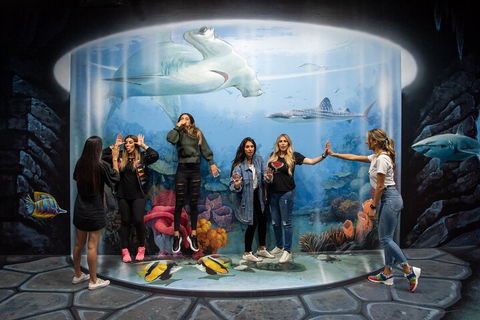 ArtVo Immersive Gallery Experience - Northern Rivers Accommodation 2