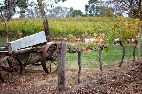Maggie Beer Farm - Barossa Valley Regional Tour - Northern Rivers Accommodation 1