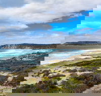 Kangaroo Island Luxury Small Group 'East End Explorer' Full Day Tour - Northern Rivers Accommodation