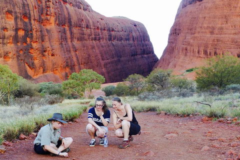 Afternoon Kata Tjuta Small Group Tour - Northern Rivers Accommodation 2