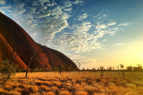 Highlights Of Uluru Including Sunrise And Breakfast - Northern Rivers Accommodation 0