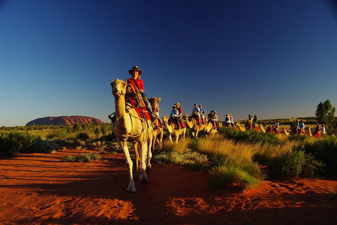Uluru Small-Group Tour By Camel At Sunrise Or Sunset - Northern Rivers Accommodation 1