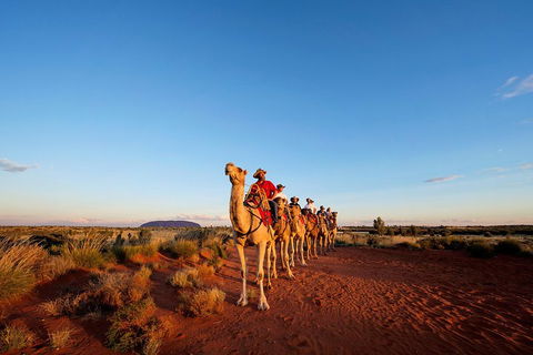 Uluru Small-Group Tour By Camel At Sunrise Or Sunset - Northern Rivers Accommodation 3