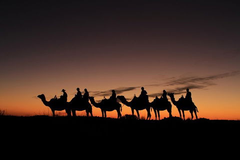 Uluru Small-Group Tour By Camel At Sunrise Or Sunset - Northern Rivers Accommodation 4