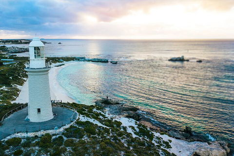 Discover Rottnest With Ferry & Bus Tour From Perth Or Fremantle - Northern Rivers Accommodation 2