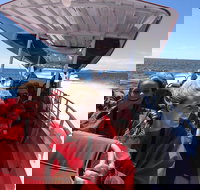 Adventure Rottnest Tour with Ferry  Adventure Cruise from Perth or Fremantle - Northern Rivers Accommodation