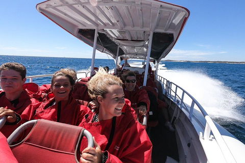Adventure Rottnest Tour With Ferry & Adventure Cruise From Perth Or Fremantle - Northern Rivers Accommodation 0