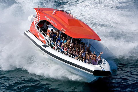 Adventure Rottnest Tour With Ferry & Adventure Cruise From Perth Or Fremantle - Northern Rivers Accommodation 2