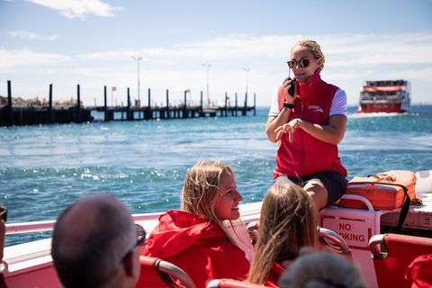 Adventure Rottnest Tour With Ferry & Adventure Cruise From Perth Or Fremantle - Northern Rivers Accommodation 4