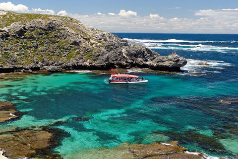 Adventure Rottnest Tour With Ferry & Adventure Cruise From Perth Or Fremantle - Northern Rivers Accommodation 5