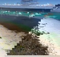 Experience Rottnest with Ferry  Bike Hire from Perth or Fremantle - Northern Rivers Accommodation