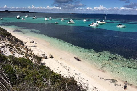 Experience Rottnest With Ferry & Bike Hire From Perth Or Fremantle - Northern Rivers Accommodation 0