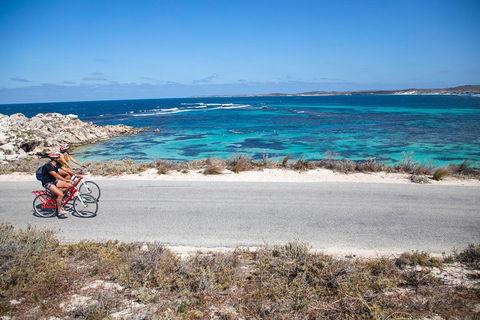 Experience Rottnest With Ferry & Bike Hire From Perth Or Fremantle - Northern Rivers Accommodation 2