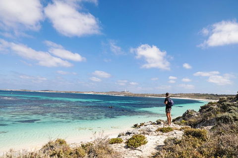 Experience Rottnest With Ferry & Bike Hire From Perth Or Fremantle - Northern Rivers Accommodation 3