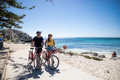 Experience Rottnest With Ferry & Bike Hire From Perth Or Fremantle - Northern Rivers Accommodation 4