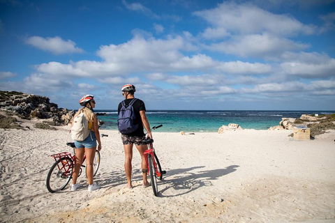 Experience Rottnest With Ferry & Bike Hire From Perth Or Fremantle - Northern Rivers Accommodation 5