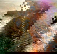 Full-Day Great Ocean Road and 12 Apostles Sunset Tour from Melbourne - Northern Rivers Accommodation