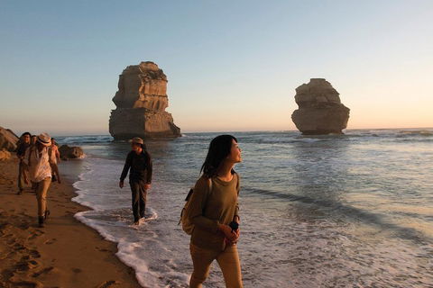 Full-Day Great Ocean Road And 12 Apostles Sunset Tour From Melbourne - Northern Rivers Accommodation 4
