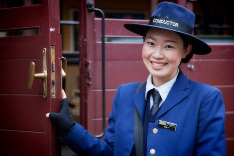 Puffing Billy, Moonlit Sanctuary & Penguins Day Tour - Northern Rivers Accommodation 1