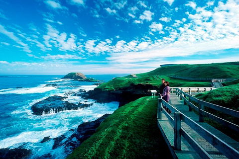 Puffing Billy, Moonlit Sanctuary & Penguins Day Tour - Northern Rivers Accommodation 2