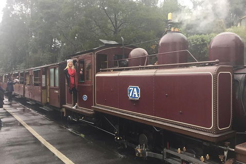 Puffing Billy, Moonlit Sanctuary & Penguins Day Tour - Northern Rivers Accommodation 4