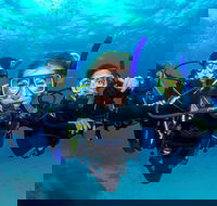 Great Barrier Reef Diving and Snorkeling Cruise from Cairns - Northern Rivers Accommodation