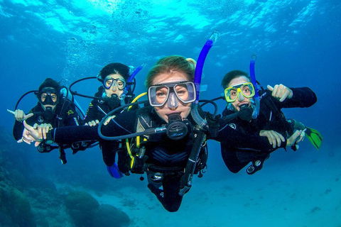 Great Barrier Reef Diving And Snorkeling Cruise From Cairns - Northern Rivers Accommodation 0