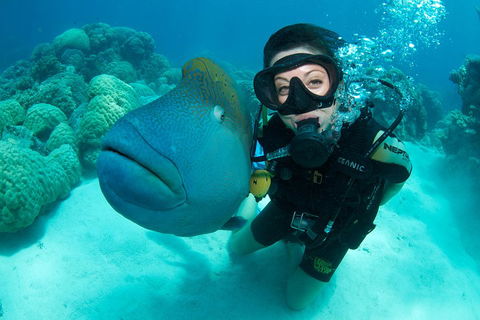 Great Barrier Reef Diving And Snorkeling Cruise From Cairns - Northern Rivers Accommodation 2
