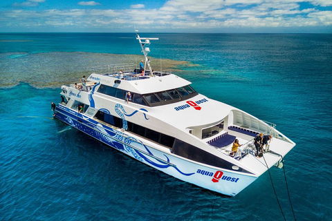 Great Barrier Reef Diving And Snorkeling Cruise From Cairns - Northern Rivers Accommodation 5