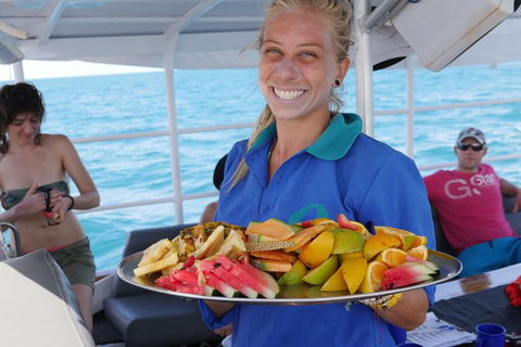 Ocean Free Green Island & Great Barrier Reef Snorkel Cruise, Cairns 25 Guests - Northern Rivers Accommodation 1