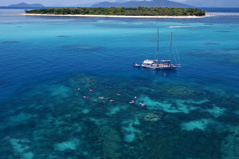 Ocean Free Green Island & Great Barrier Reef Snorkel Cruise, Cairns 25 Guests - Northern Rivers Accommodation 2
