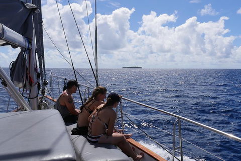 Ocean Free Green Island & Great Barrier Reef Snorkel Cruise, Cairns 25 Guests - Northern Rivers Accommodation 4